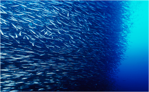 Morning Haiku –&nbsp;111