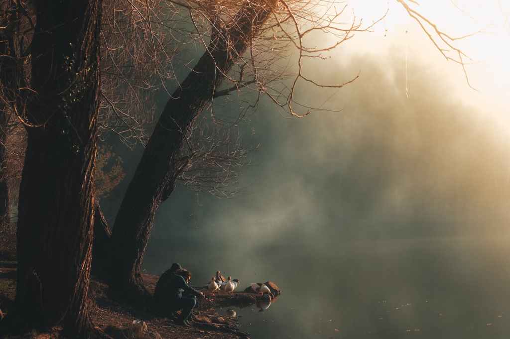 Morning Haiku –&nbsp;79