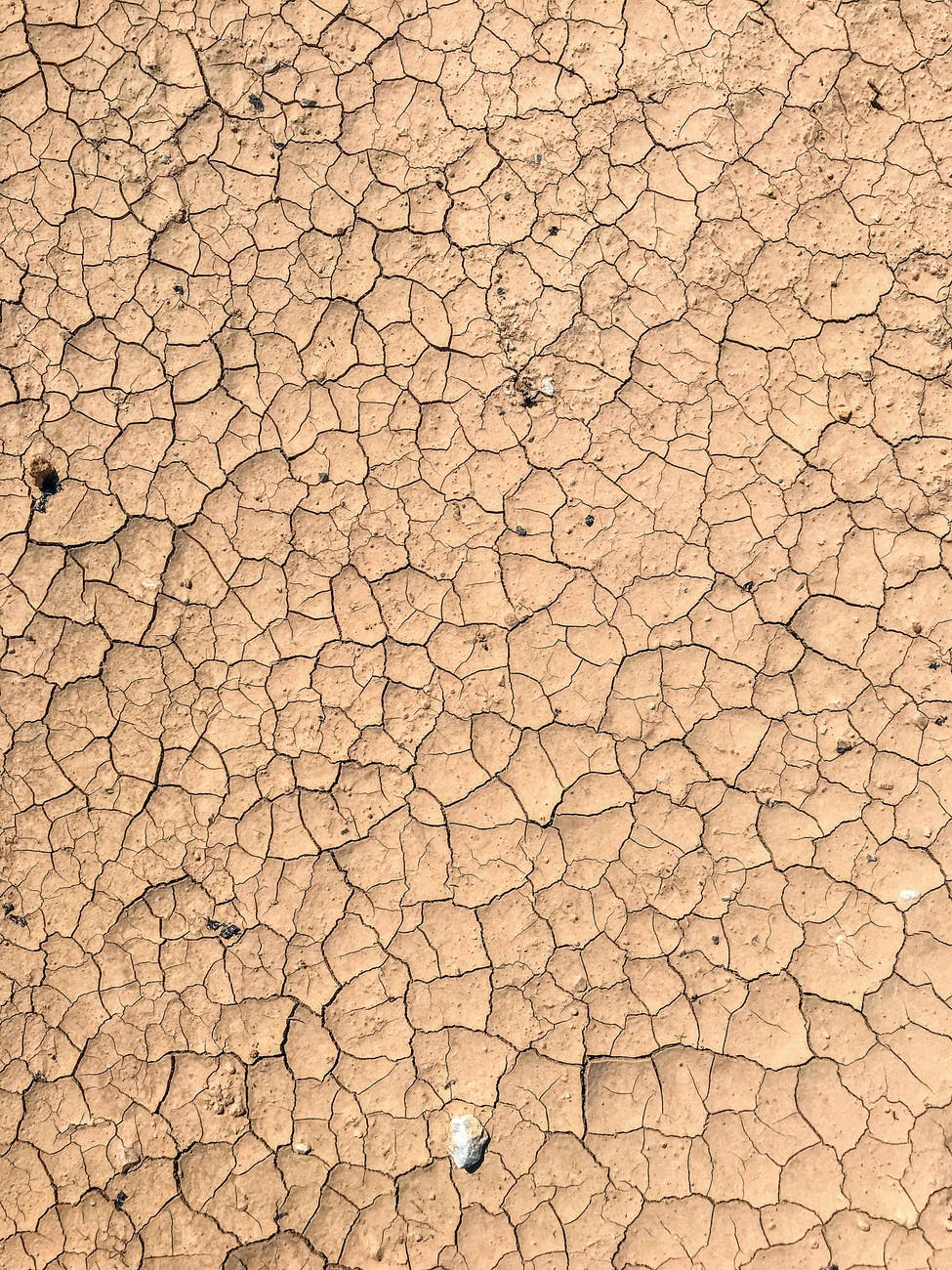 dry cracked mud