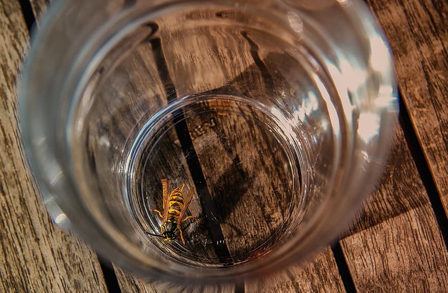 Morning Haiku –&nbsp;41