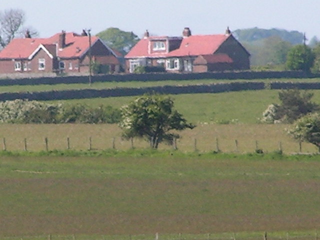 Morning Haiku –&nbsp;31