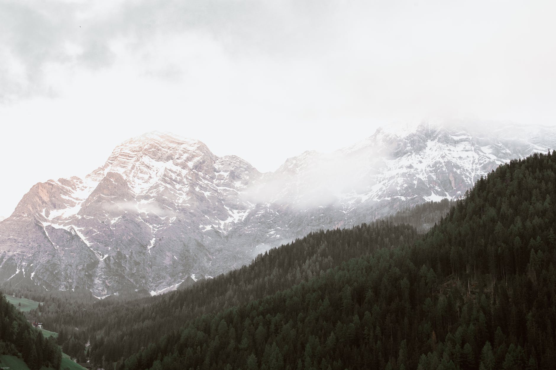 snowy highland near green forest on cloudy day