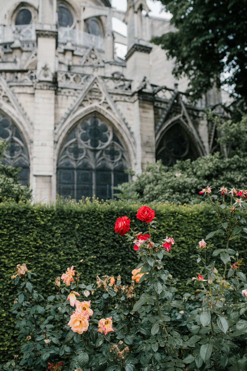 Dream Wakas –&nbsp;38