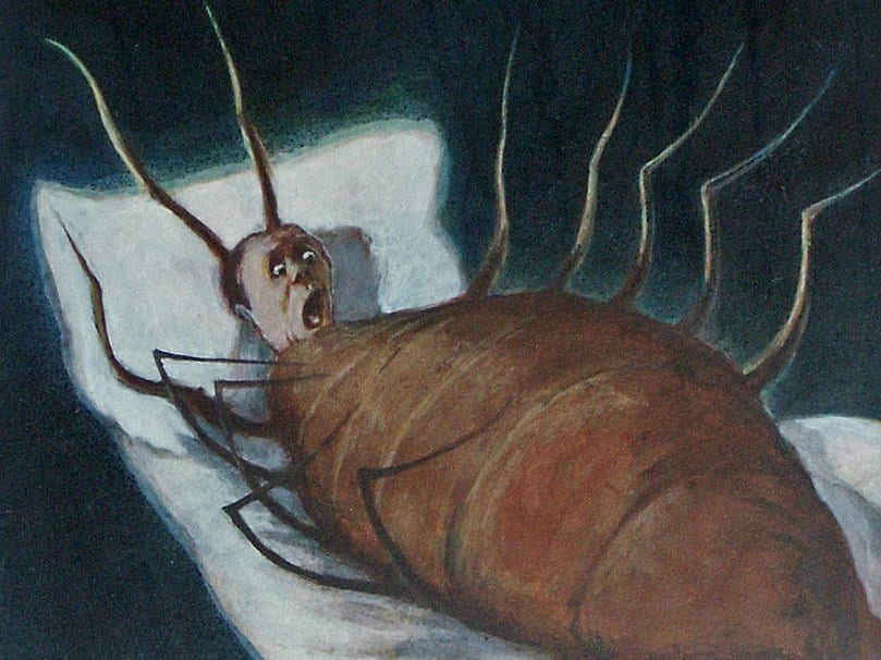 Morning Haiku –&nbsp;81